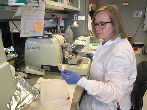 Histology Lab Manager