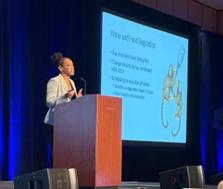 APV Conference, 2025