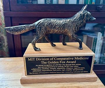 The Golden Fox Award